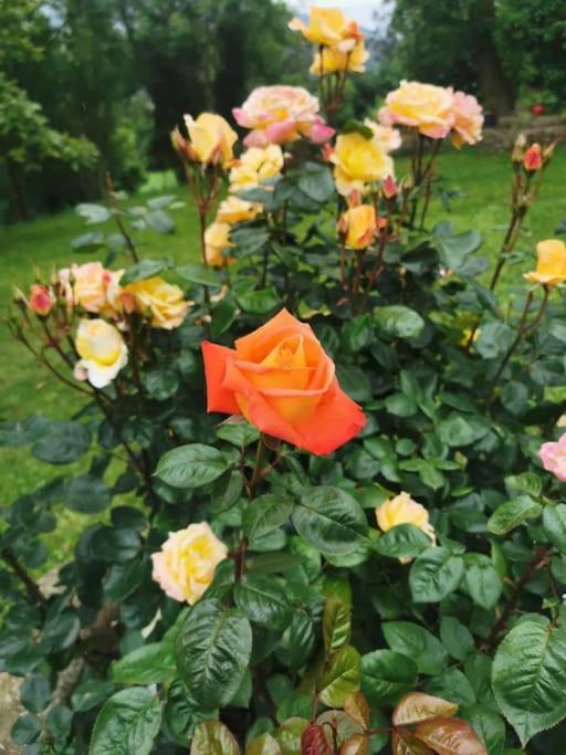 La Flor De Toranzo "Vive Los Valles Pasiegos" Prases Ngoại thất bức ảnh